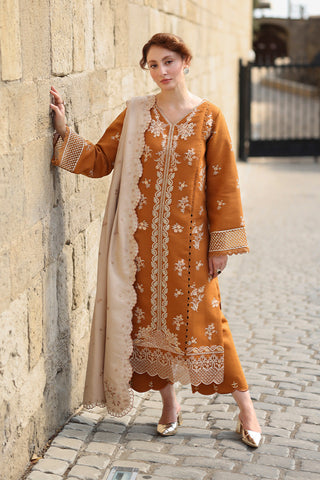 Cappuccino EMBROIDERED DHANAK UNSTITCHED AS_38