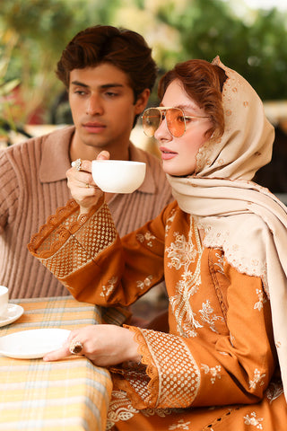 Cappuccino EMBROIDERED DHANAK UNSTITCHED AS_38