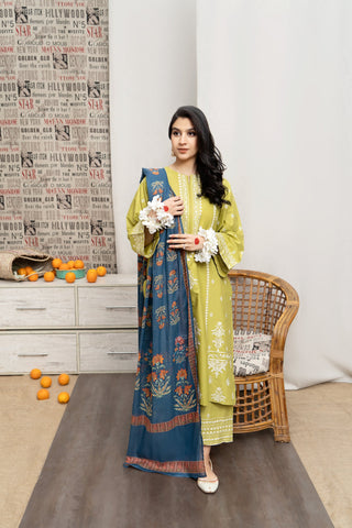 TOOR – Luxury Embroidered 3-Piece in DHANAK