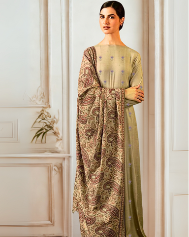Fully Embroidered 3PC Dress With Heavy EMB Shawl - W28