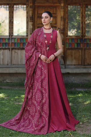 Fully Embroidered 3PC Dress With Heavy EMB Shawl - W2